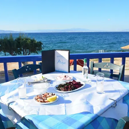 Aiolos Apartment *